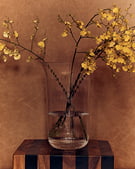 Home Editorial