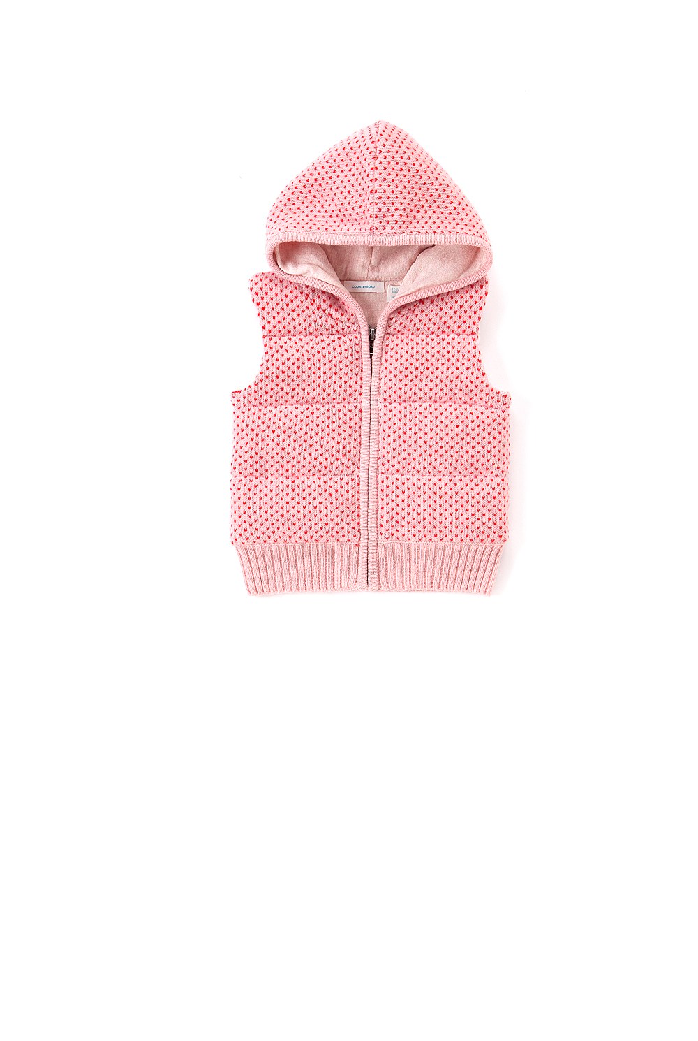 Birds Eye Puffer