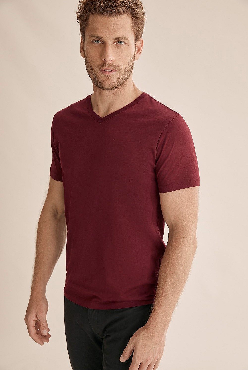 Pima Cotton V-Neck T-Shirt