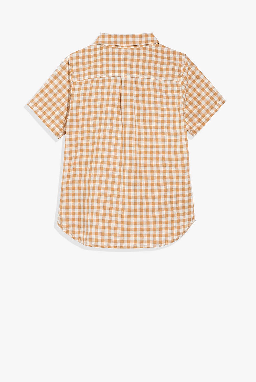 Check Shirt