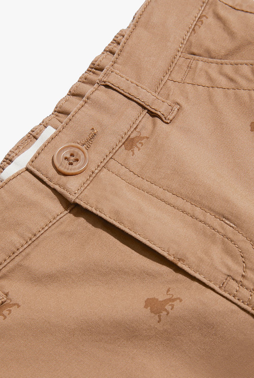 Lion Chino