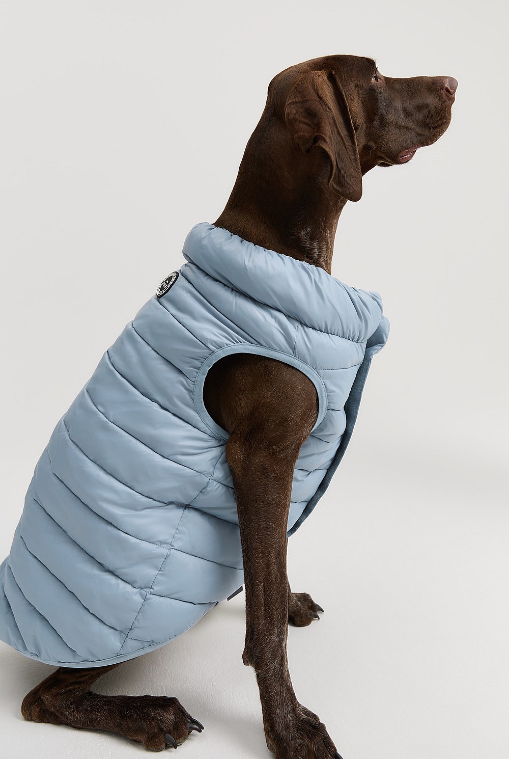 Recycled Alpine Reversible Puffer Vest