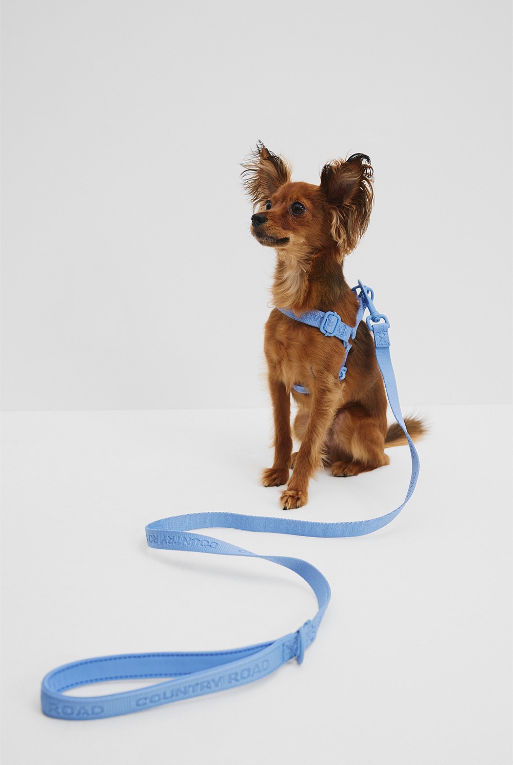 Piper Polyester Harness