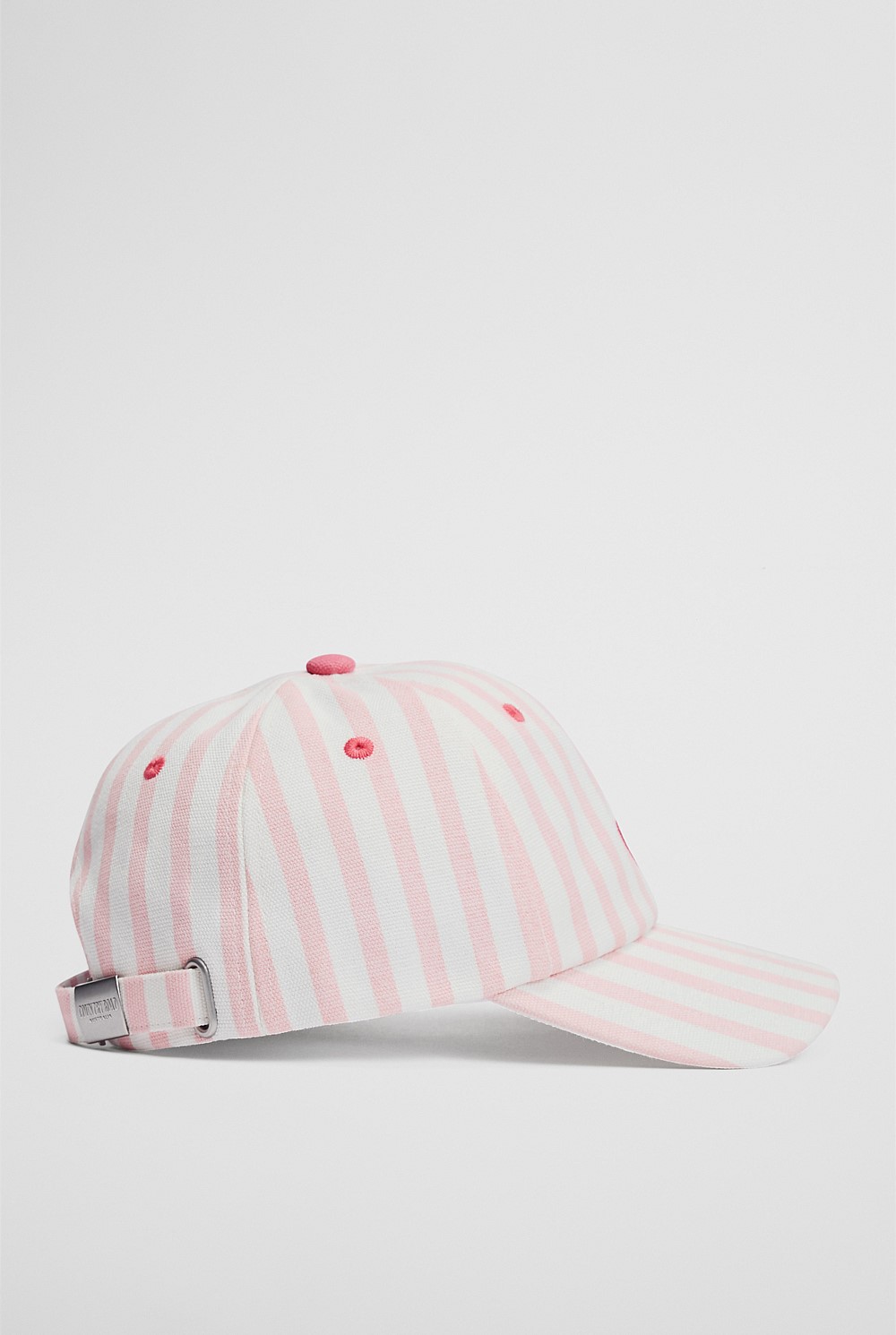 Stripe Logo Cap