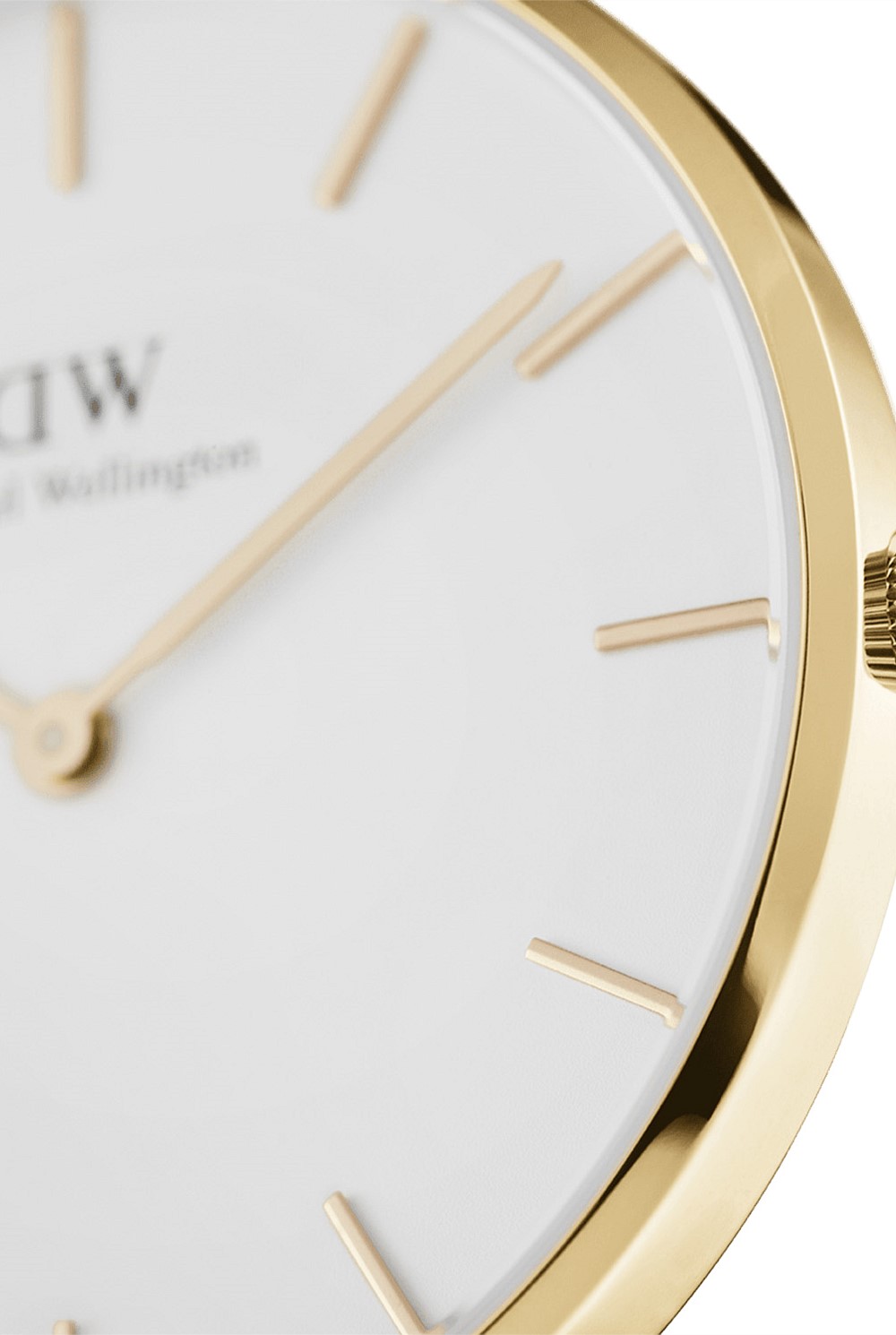 Petite 36 Evergold Gold & White Watch