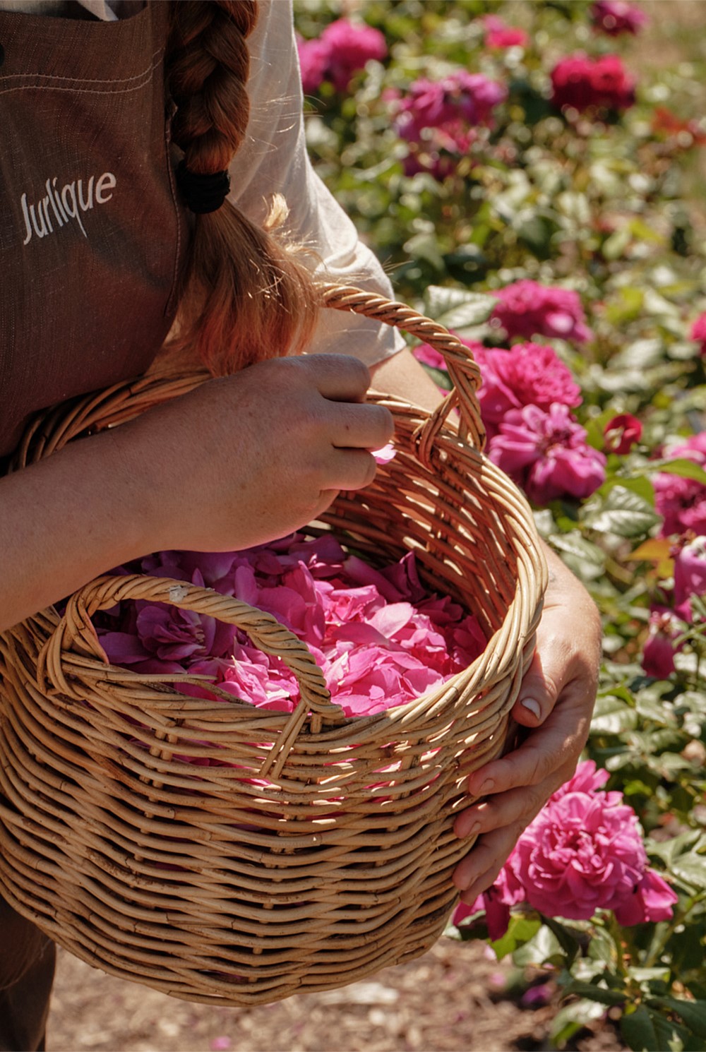 Rose Hand Lotion