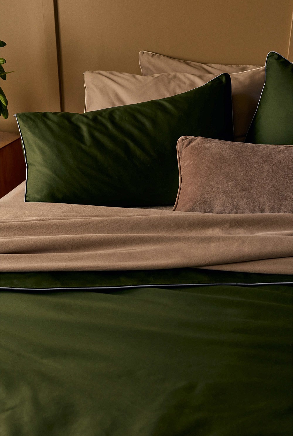 Dita Organically Grown Cotton Standard Pillowcase Pair
