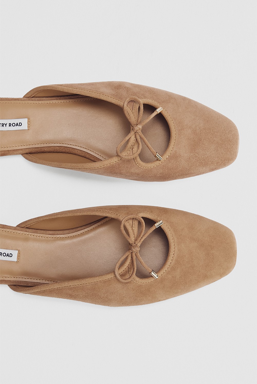 Ariana Mule