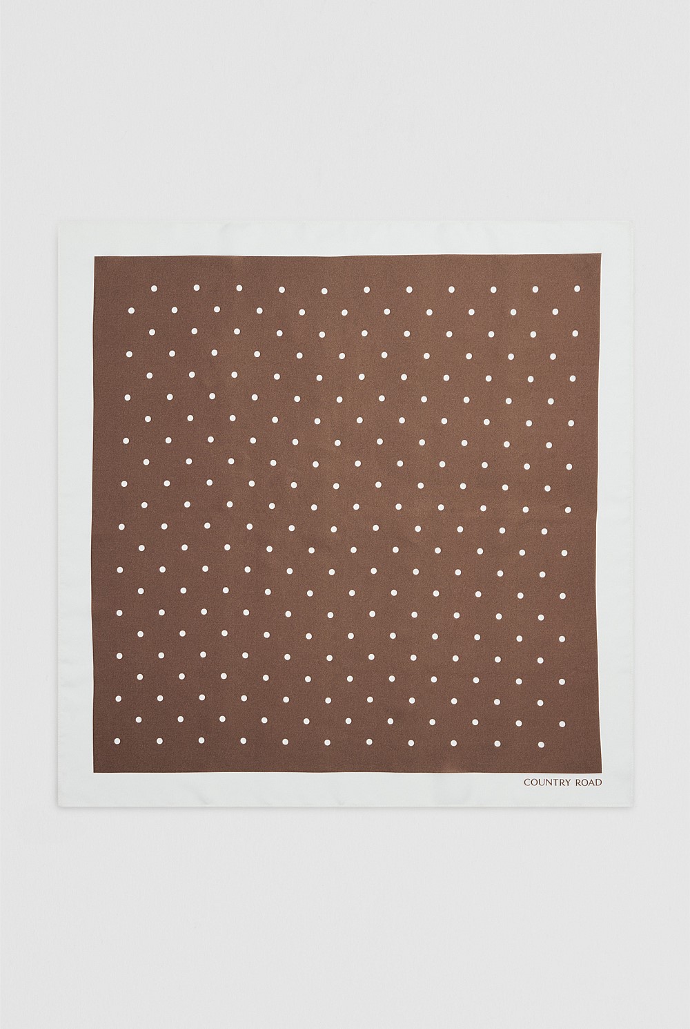 Silk Spot Scarf