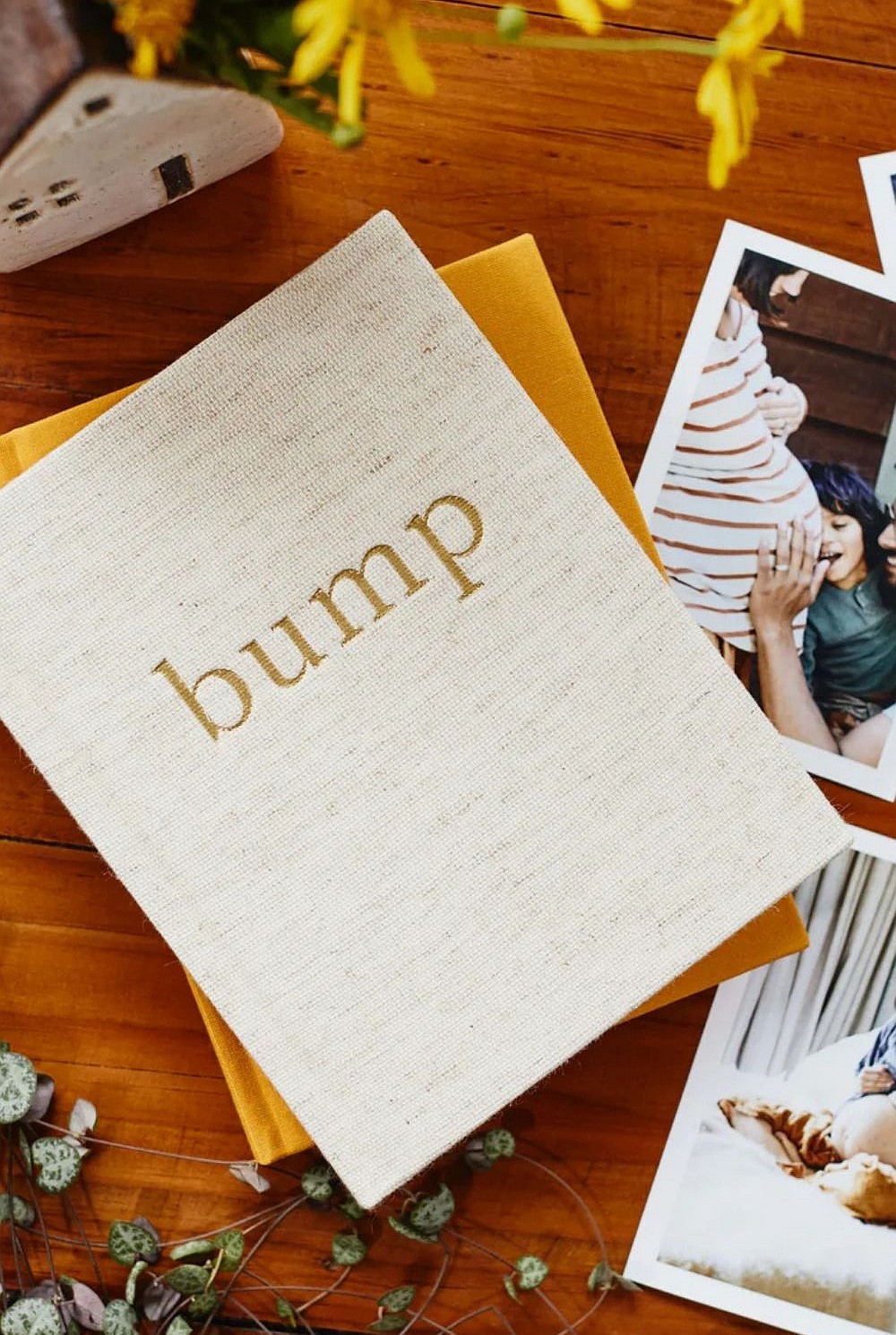 Baby Journal: Bump. A Pregnancy Story
