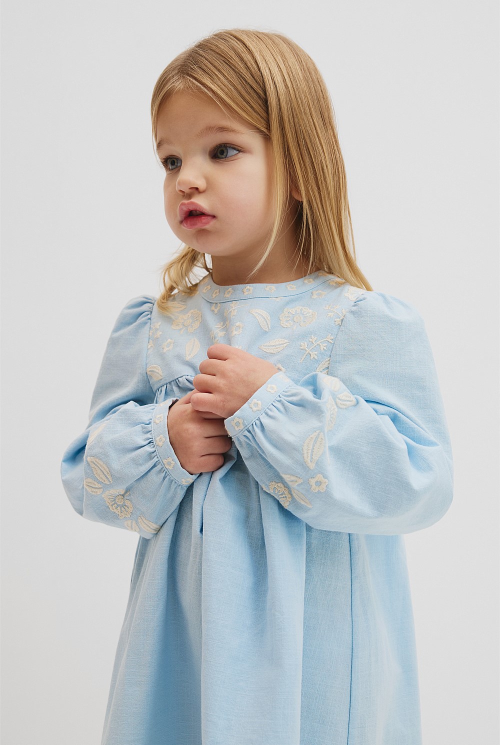 Long Sleeve Embroidered Smock Dress